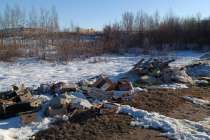 РЭО напомнил о крупных штрафах за сброс отходов в неположенных местах